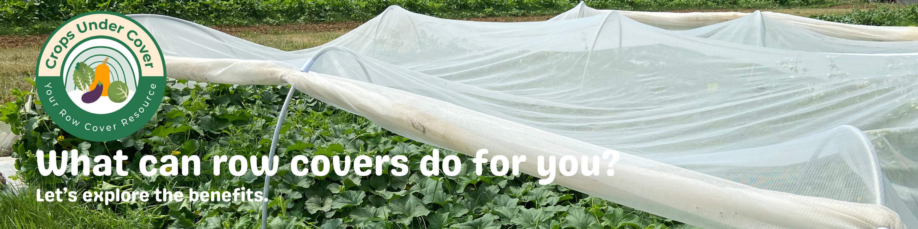 Row Cover Reasons Banner showing a row cover installed over cucurbit plants 