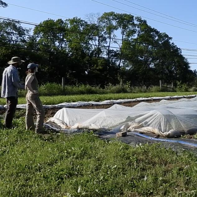 farmers